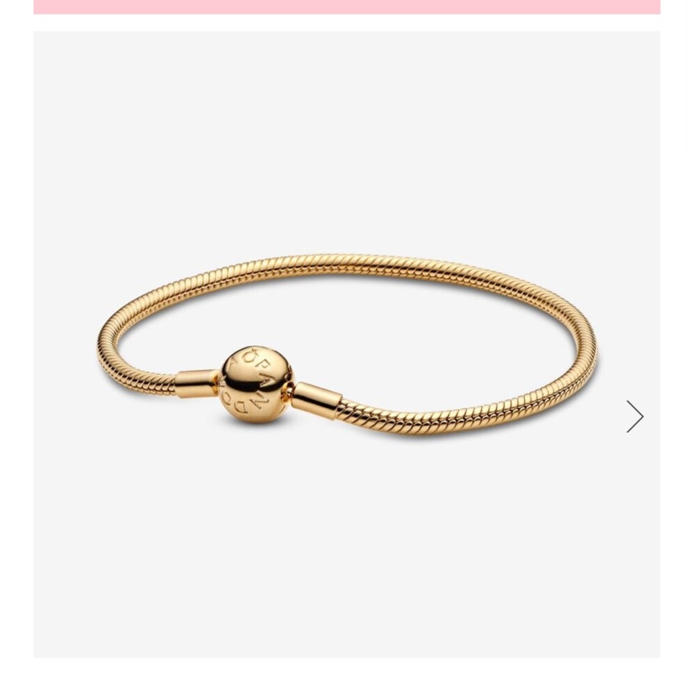 Pandora Moments Snake Chain
Bracelet!